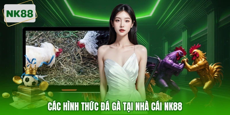 Các hình thức đá gà tại nhà cái NK88