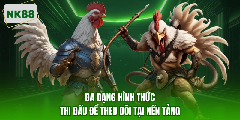 Đa dạng hình thức thi đấu để theo dõi tại nền tảng