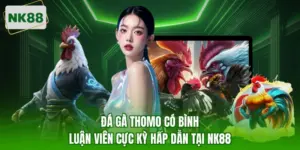 Đá gà Thomo có bình luận