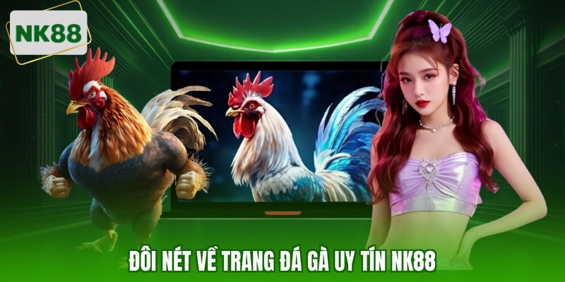 Đôi nét về trang đá gà uy tín NK88
