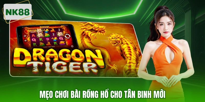 Mẹo chơi bài Rồng Hổ cho tân binh mới