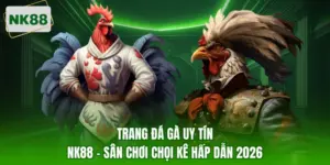 Đá gà uy tín