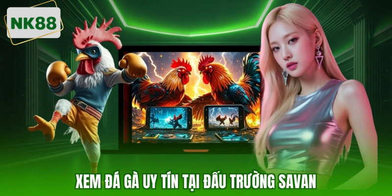 Xem đá gà uy tín tại đấu trường Savan